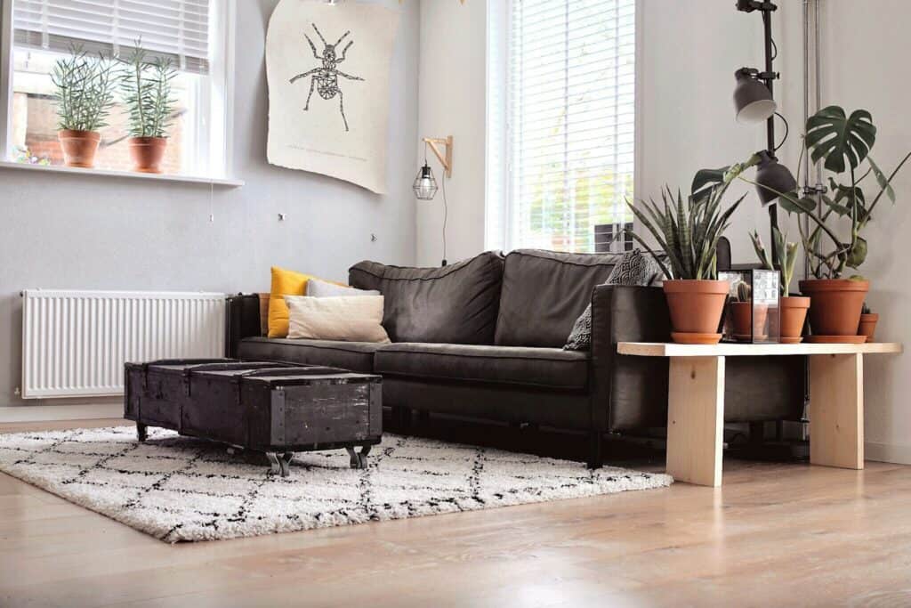 Zero Dry Time A modern living room with a dark sofa, yellow and white cushions, a black trunk coffee table, potted plants, wall art, and large windows with blinds.