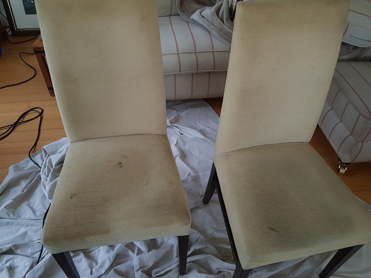 Commercial upholstery cleaning - dining chairs cleaned by Zero Dry Time Farnham