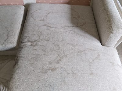 Upholstery deep cleaning and dust mite removal by Zero Dry Time Farnham